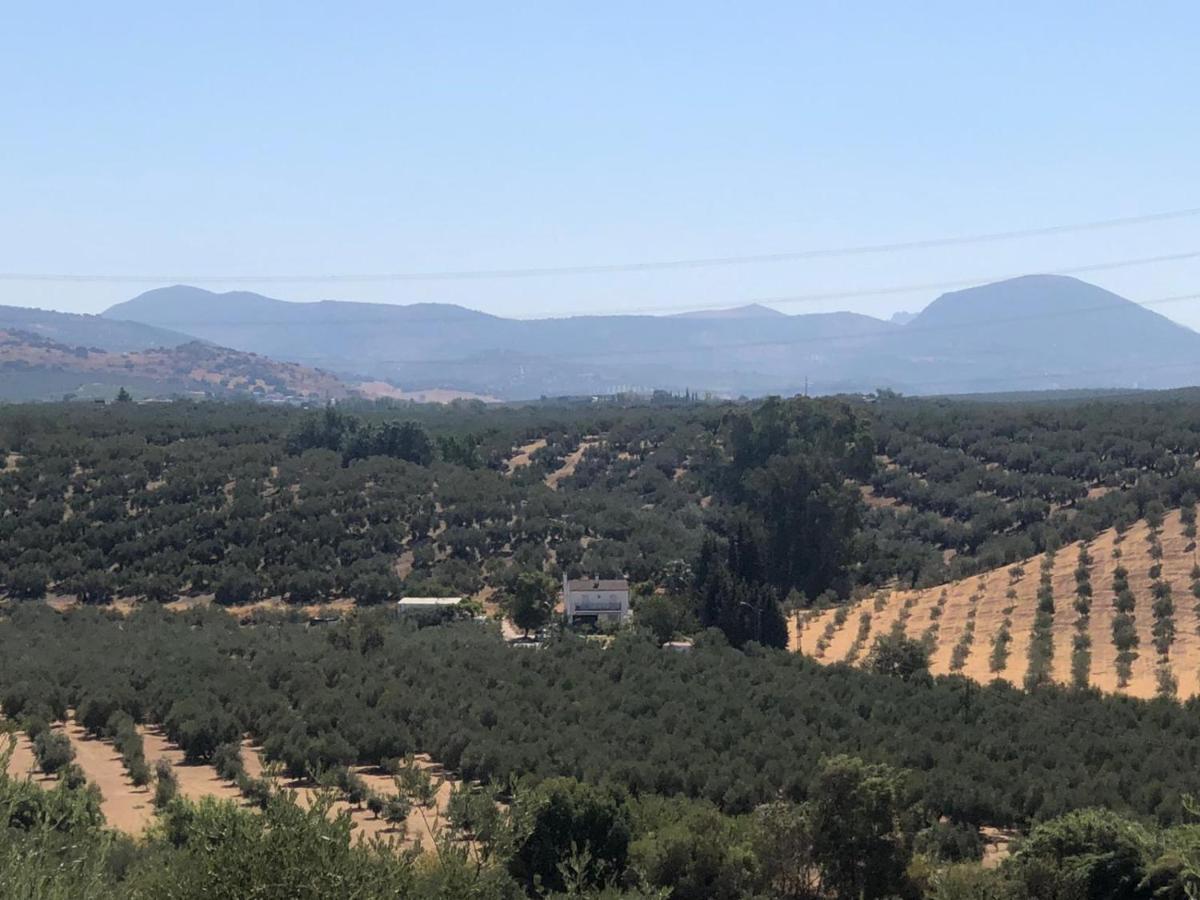 Cortijo Ribero Cabra Exterior foto